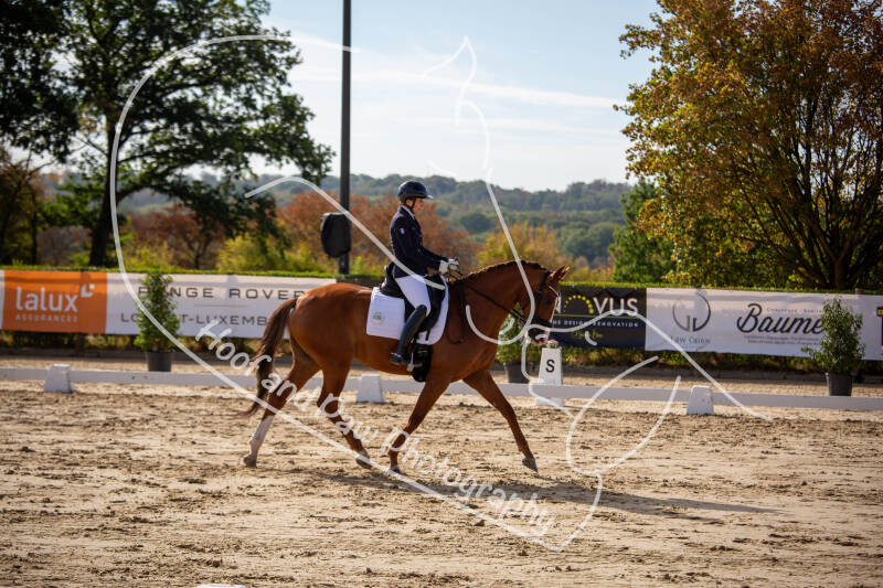 bouferterhaff-jumping-12-standard-ujqv4m.jpg