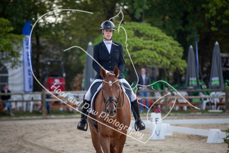 bouferterhaff-jumping-12-standard-y85e0g.jpg