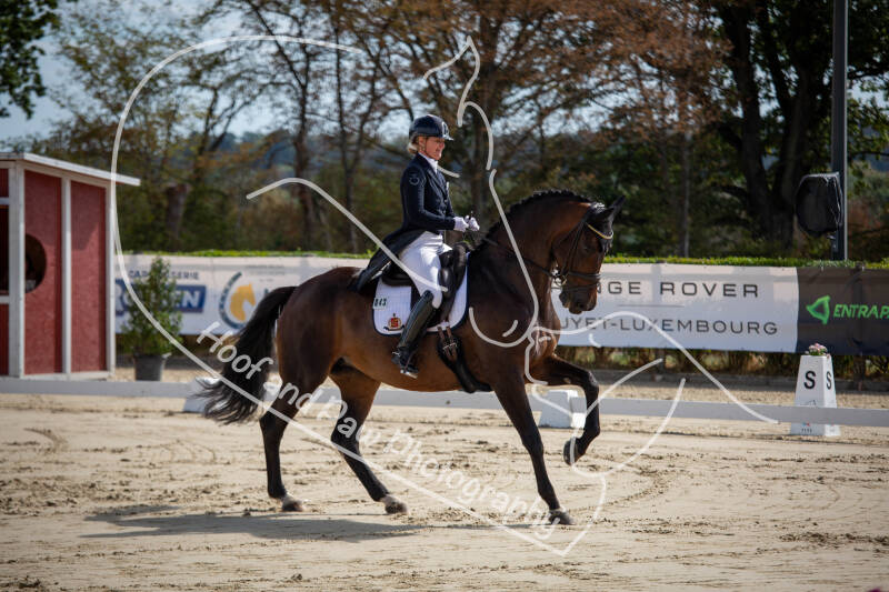 bouferterhaff-jumping-12-standard-zphyhj.jpg