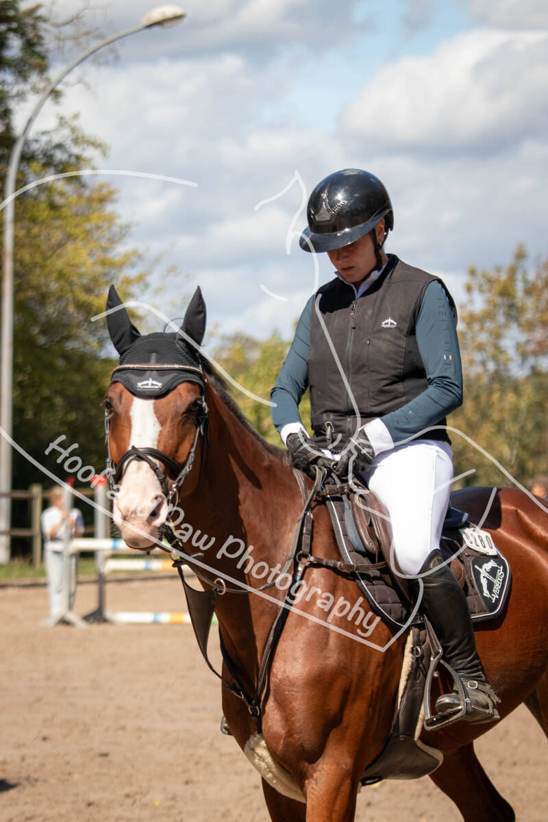bouferterhaff-jumping-12-standard.jpg