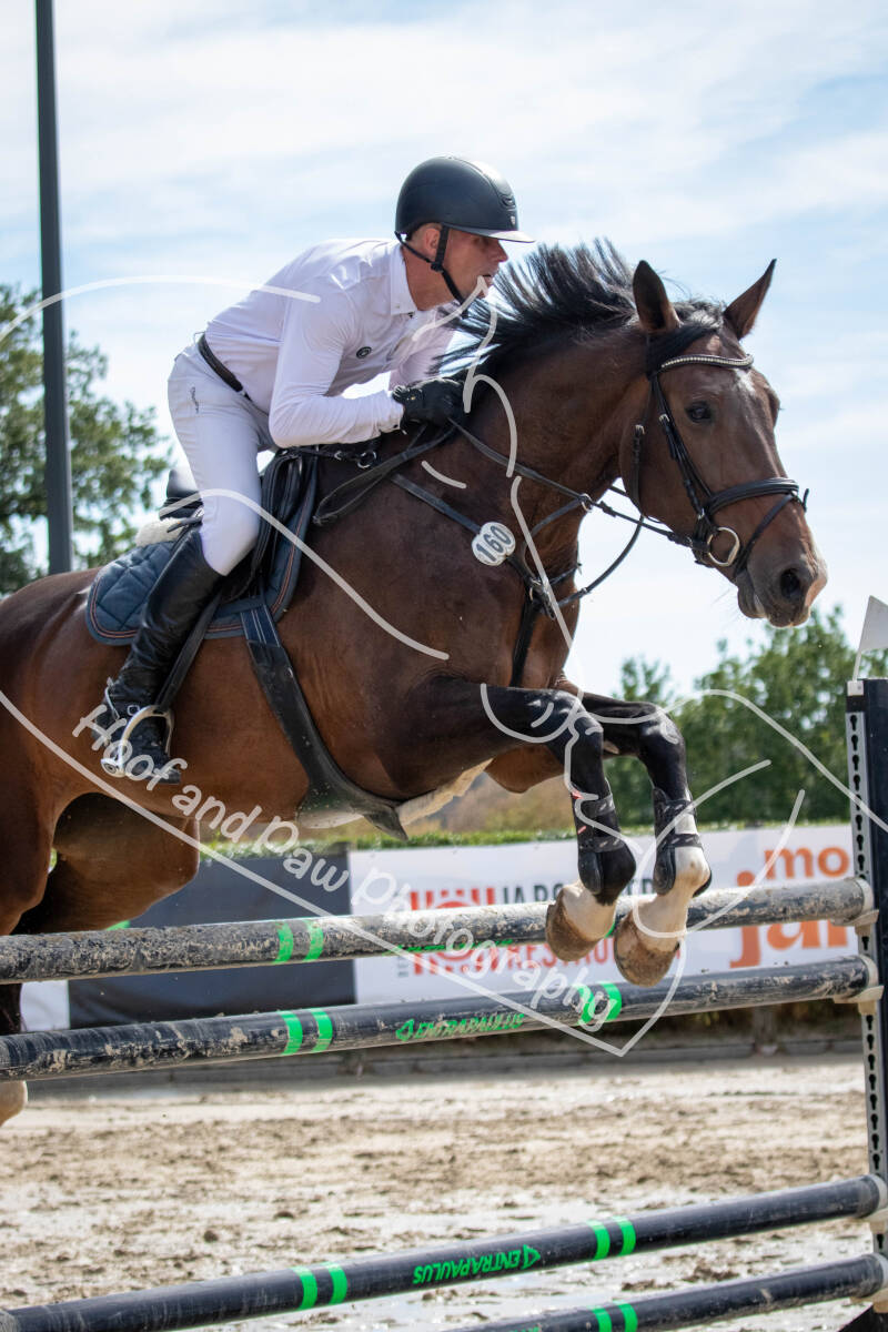 bouferterhaff-jumping-120-standard-wcmyx5.jpg