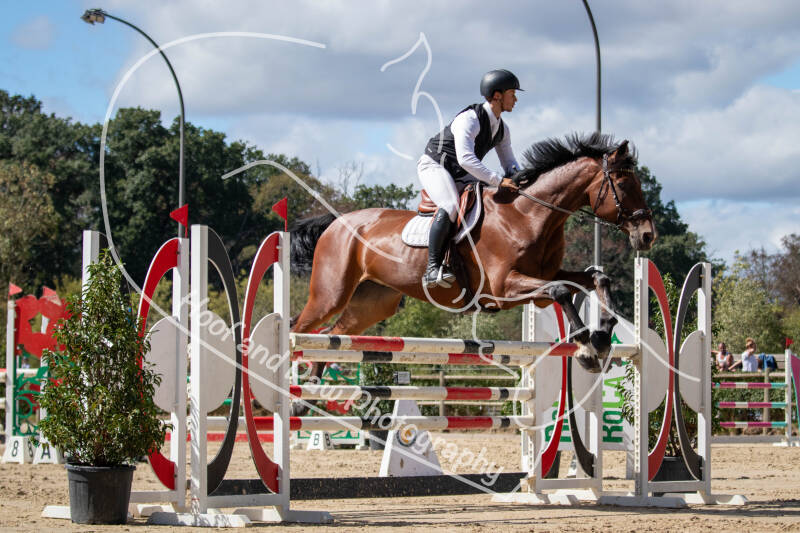 bouferterhaff-jumping-121-standard.jpg