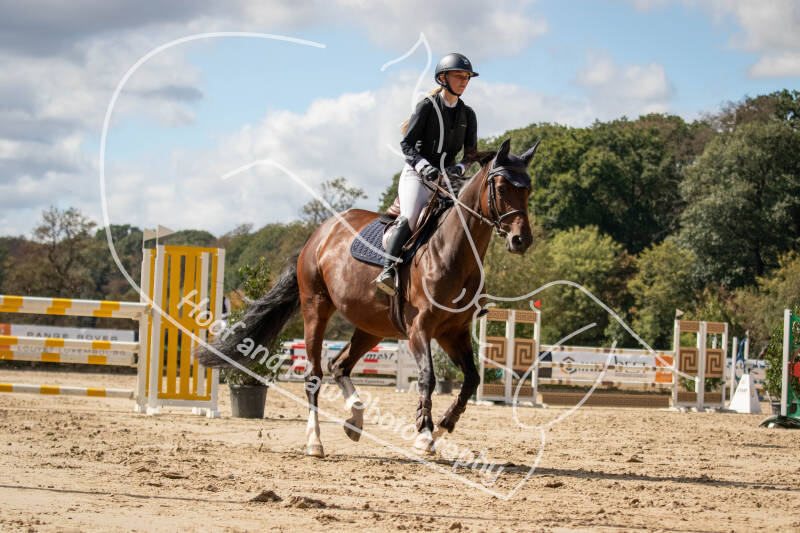 bouferterhaff-jumping-125-standard.jpg