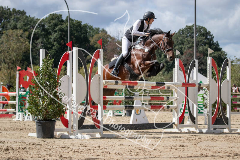 bouferterhaff-jumping-126-standard.jpg
