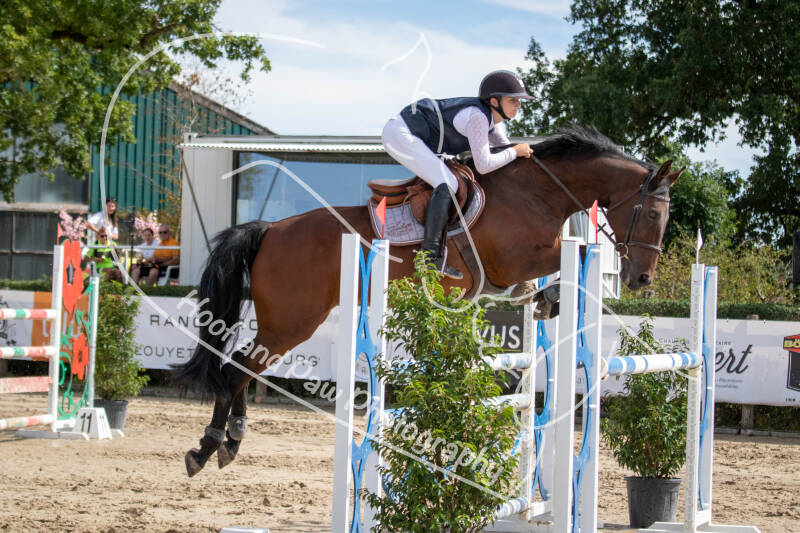 bouferterhaff-jumping-128-standard-p3n2uk.jpg