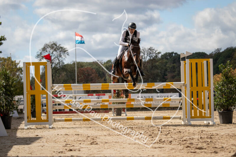 bouferterhaff-jumping-128-standard.jpg