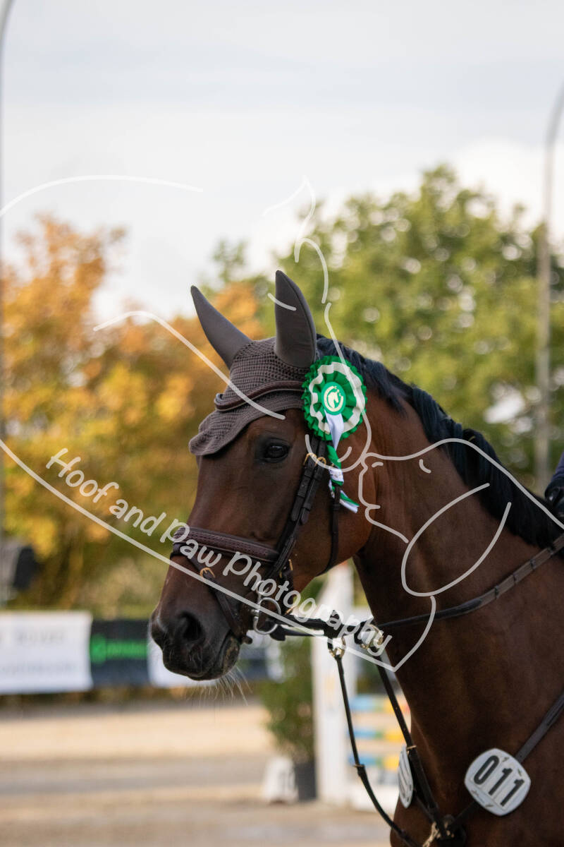bouferterhaff-jumping-129-standard-0hif8y.jpg