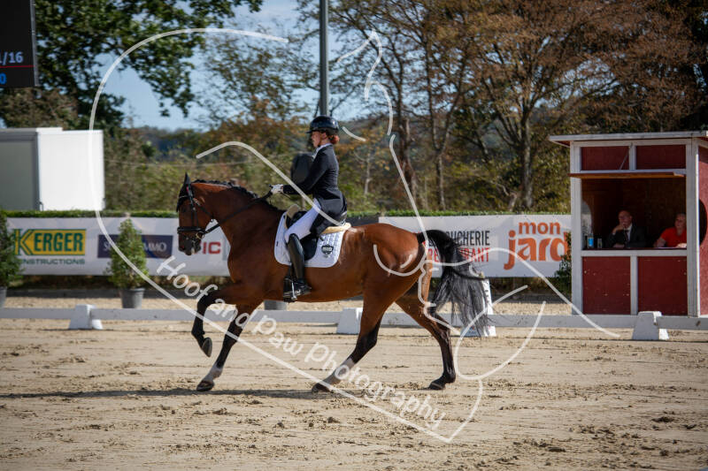 bouferterhaff-jumping-13-standard-0lpxyf.jpg