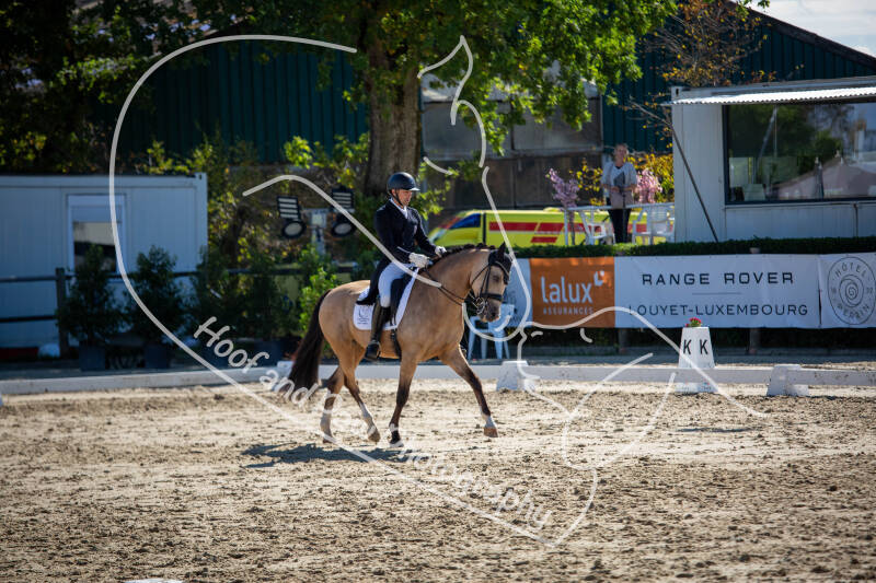 bouferterhaff-jumping-13-standard-48snv4.jpg