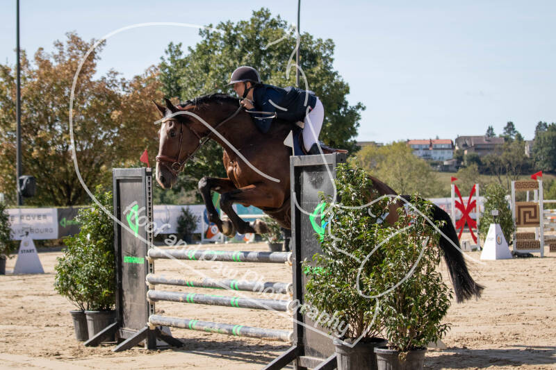 bouferterhaff-jumping-13-standard-62pvbh.jpg