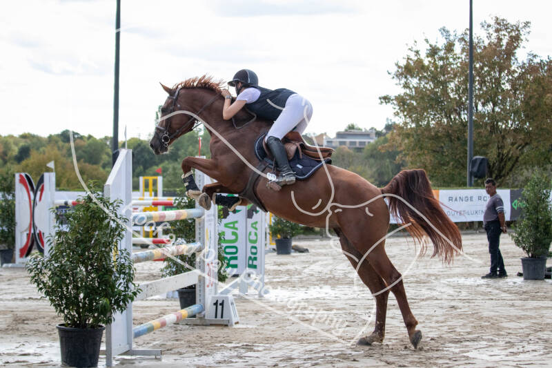 bouferterhaff-jumping-13-standard-8s6j4y.jpg