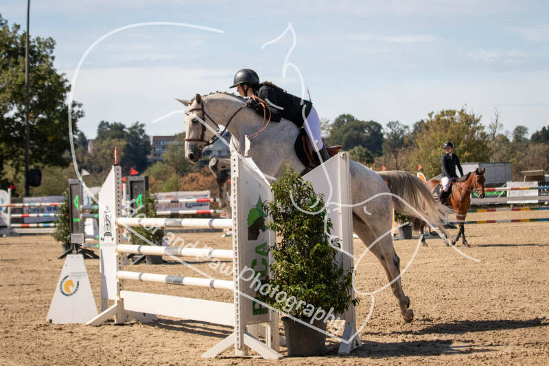 bouferterhaff-jumping-13-standard-nhxggg.jpg