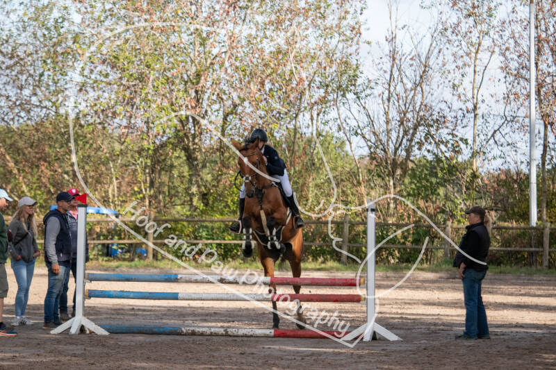 bouferterhaff-jumping-13-standard-q0aqfh.jpg