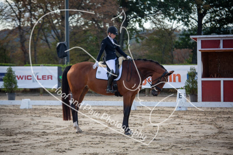 bouferterhaff-jumping-13-standard-ujg4dc.jpg