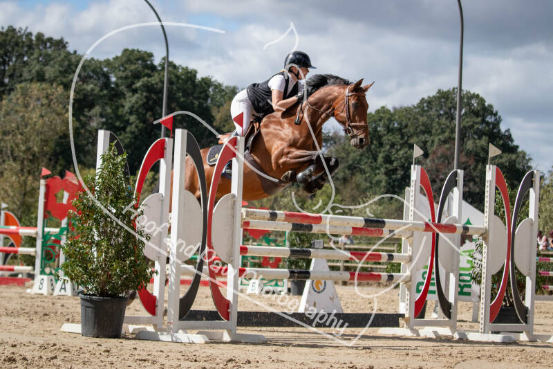 bouferterhaff-jumping-130-standard.jpg