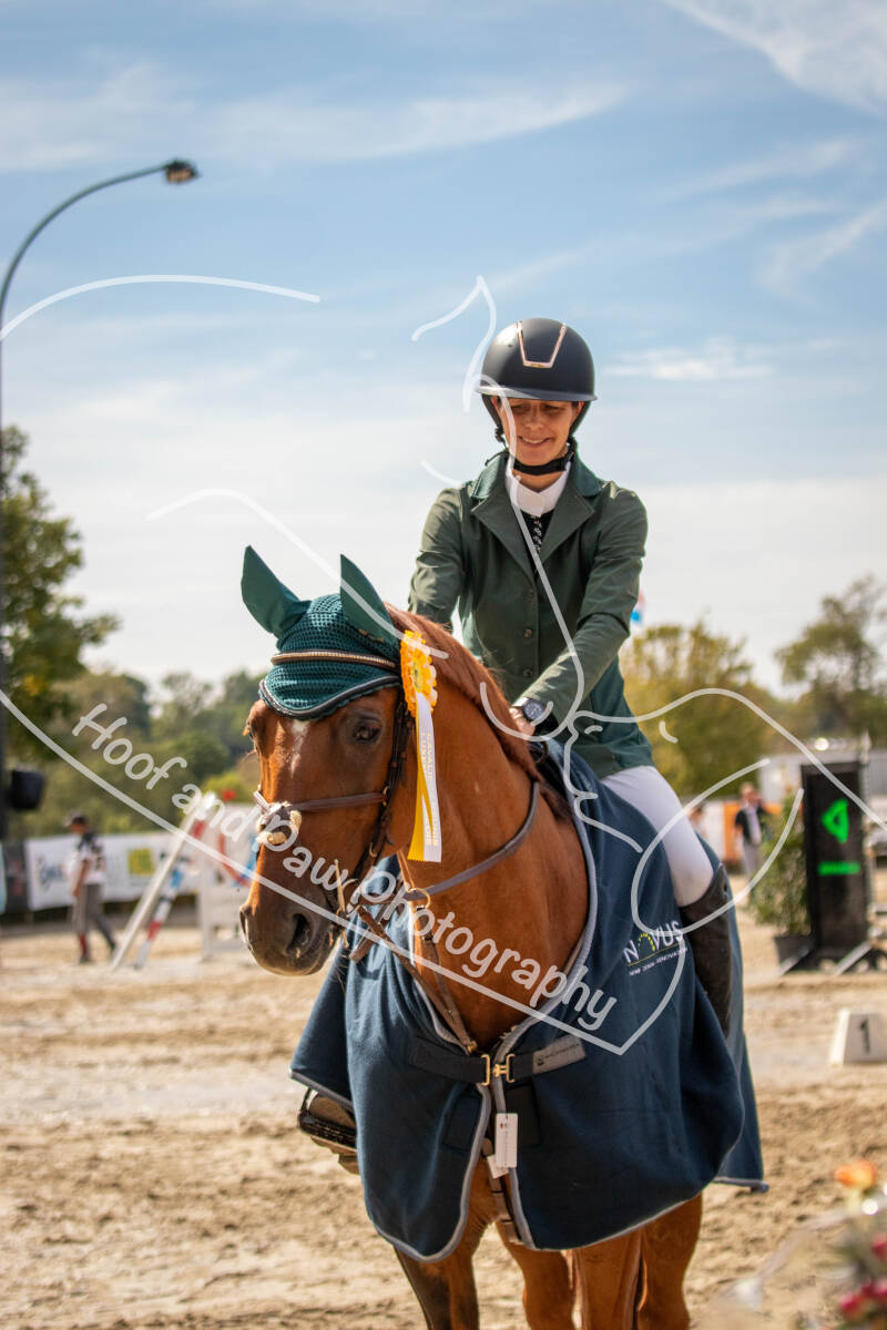 bouferterhaff-jumping-132-standard-6k6fpk.jpg