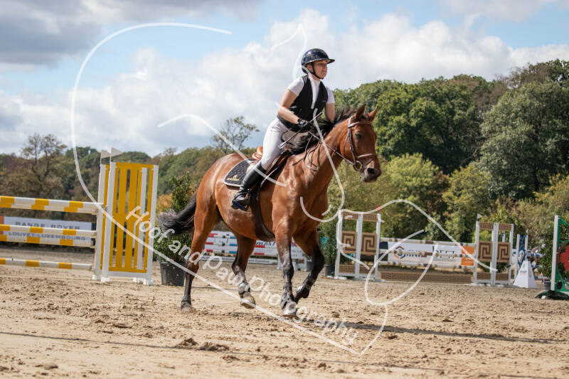 bouferterhaff-jumping-132-standard.jpg