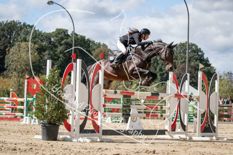 bouferterhaff-jumping-133-standard.jpg