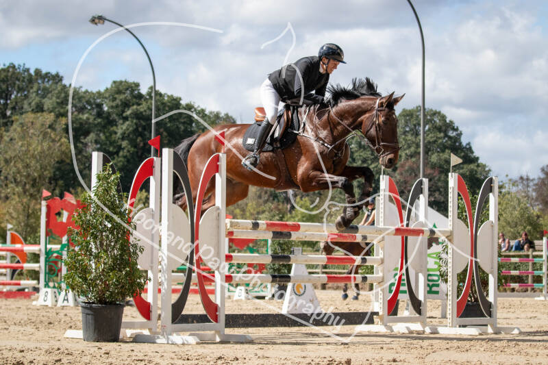 bouferterhaff-jumping-136-standard.jpg