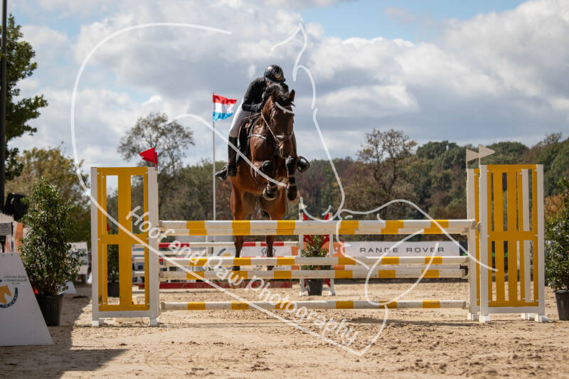 bouferterhaff-jumping-137-standard.jpg