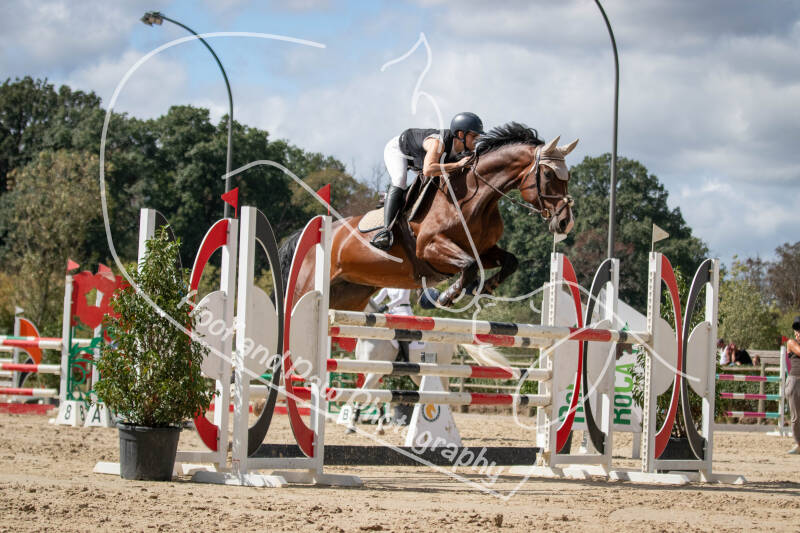 bouferterhaff-jumping-138-standard.jpg
