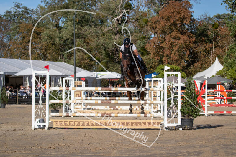 bouferterhaff-jumping-14-standard-763cpc.jpg