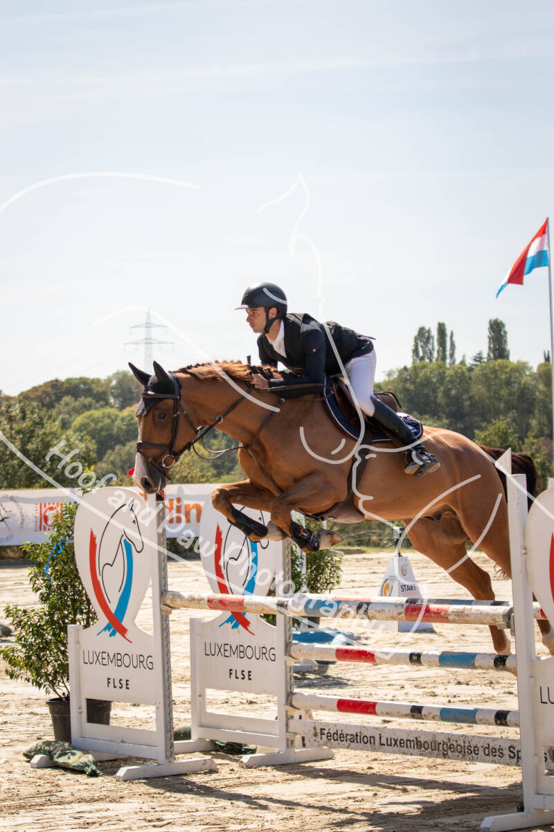 bouferterhaff-jumping-14-standard-d8cjkt.jpg