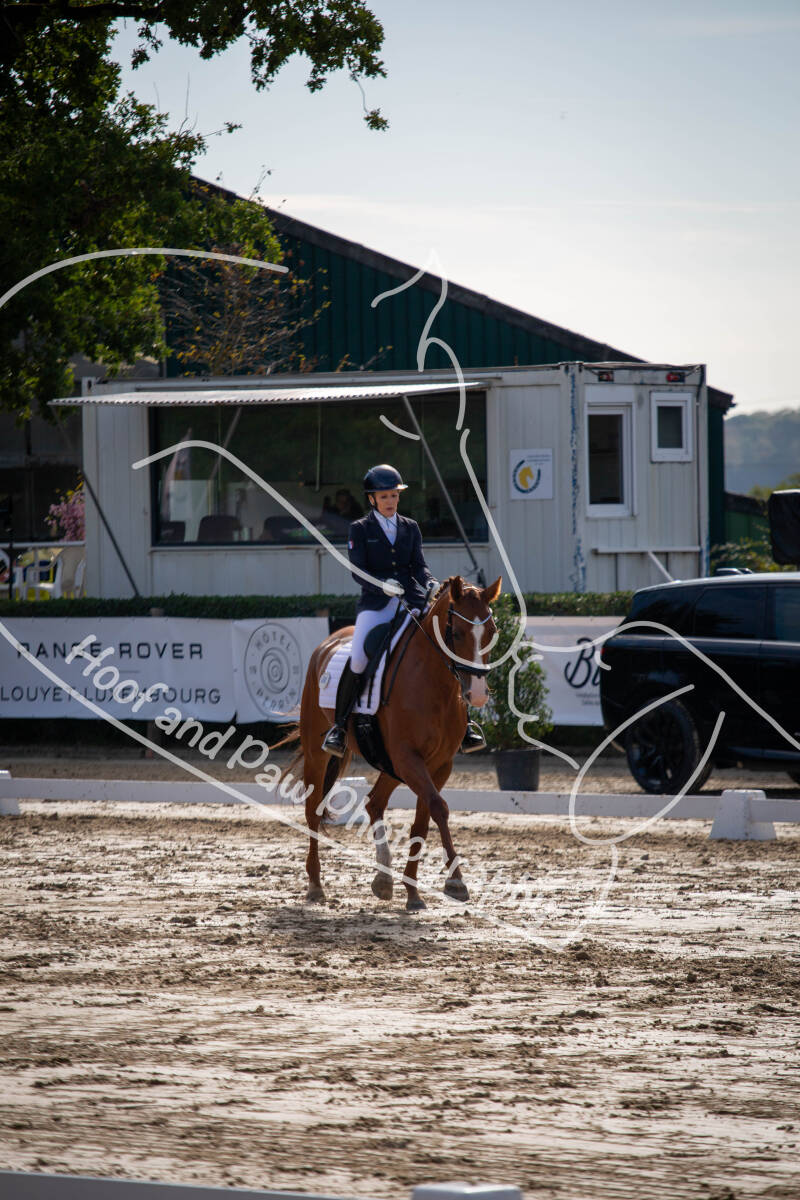 bouferterhaff-jumping-14-standard-f3sn15.jpg