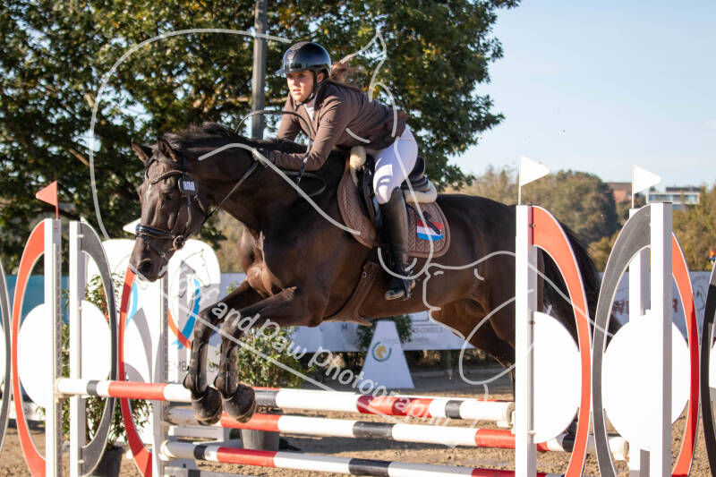 bouferterhaff-jumping-14-standard-jikh24.jpg