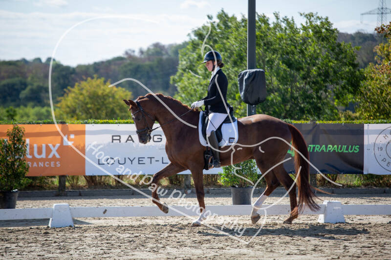bouferterhaff-jumping-14-standard-myi0ku.jpg