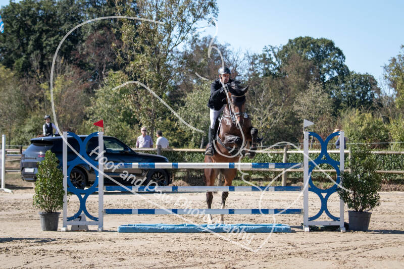 bouferterhaff-jumping-14-standard-nk9to6.jpg