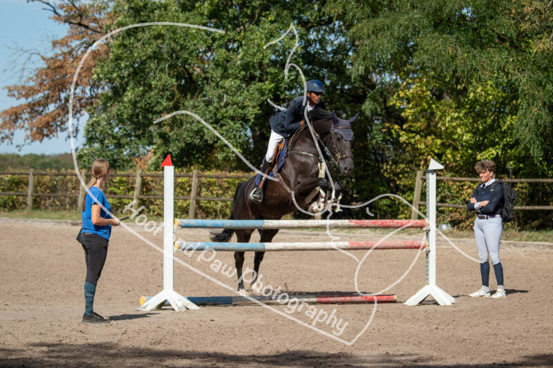 bouferterhaff-jumping-14-standard-rl96k8.jpg