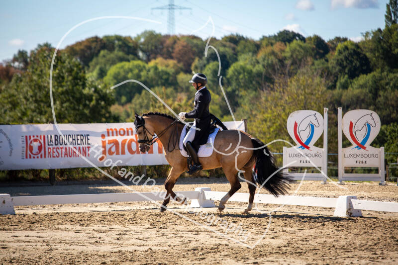bouferterhaff-jumping-14-standard-vug300.jpg