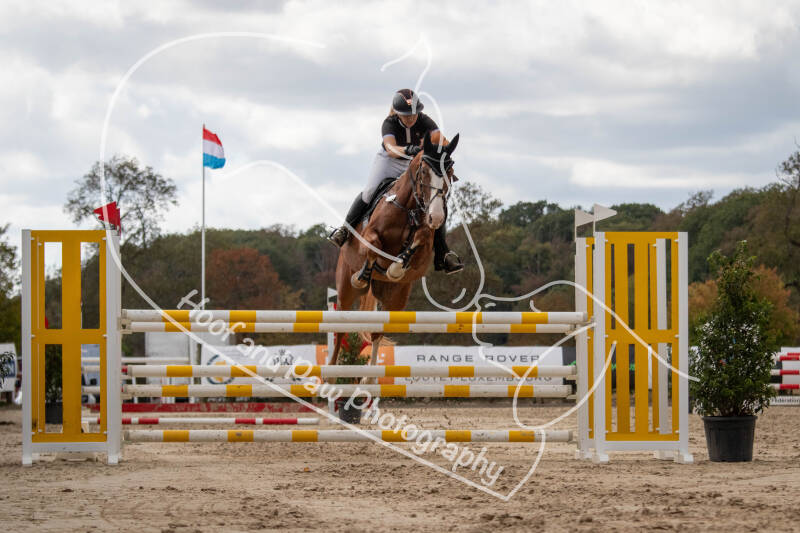 bouferterhaff-jumping-145-standard.jpg
