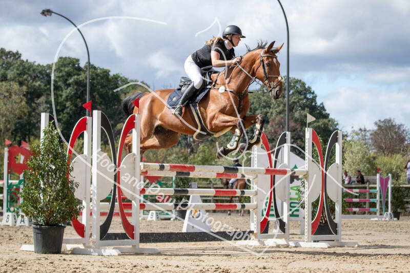 bouferterhaff-jumping-146-standard.jpg