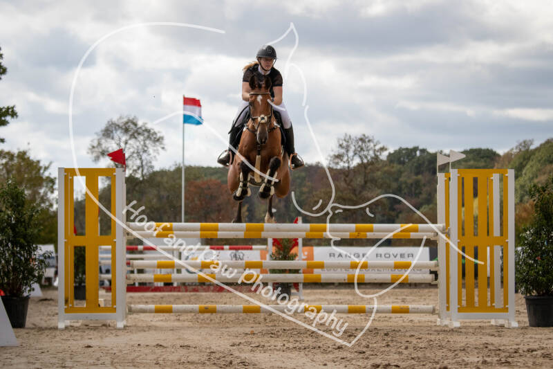 bouferterhaff-jumping-147-standard.jpg