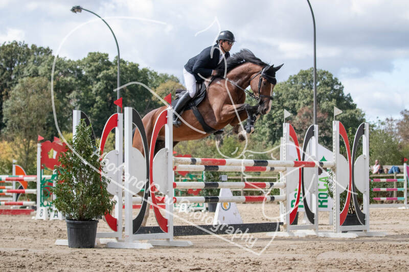 bouferterhaff-jumping-148-standard.jpg