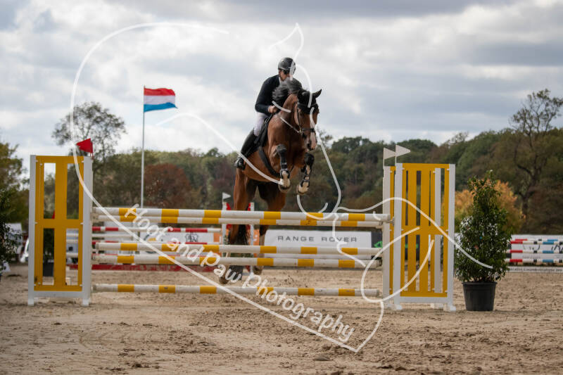 bouferterhaff-jumping-149-standard.jpg