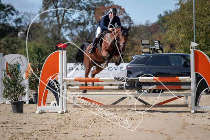bouferterhaff-jumping-15-standard-320u1h.jpg