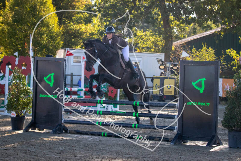 bouferterhaff-jumping-15-standard-8kh867.jpg