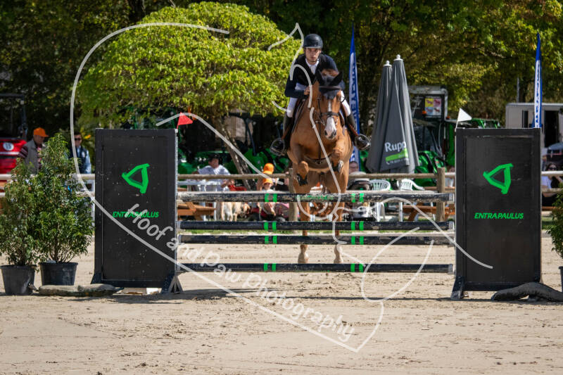 bouferterhaff-jumping-15-standard-b2056j.jpg