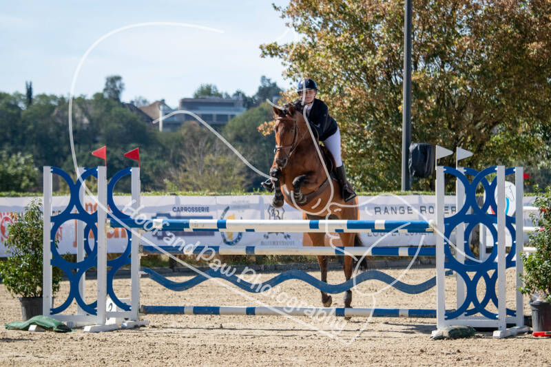 bouferterhaff-jumping-15-standard-cpjtwd.jpg