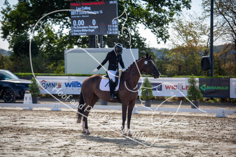 bouferterhaff-jumping-15-standard-cr5rdf.jpg