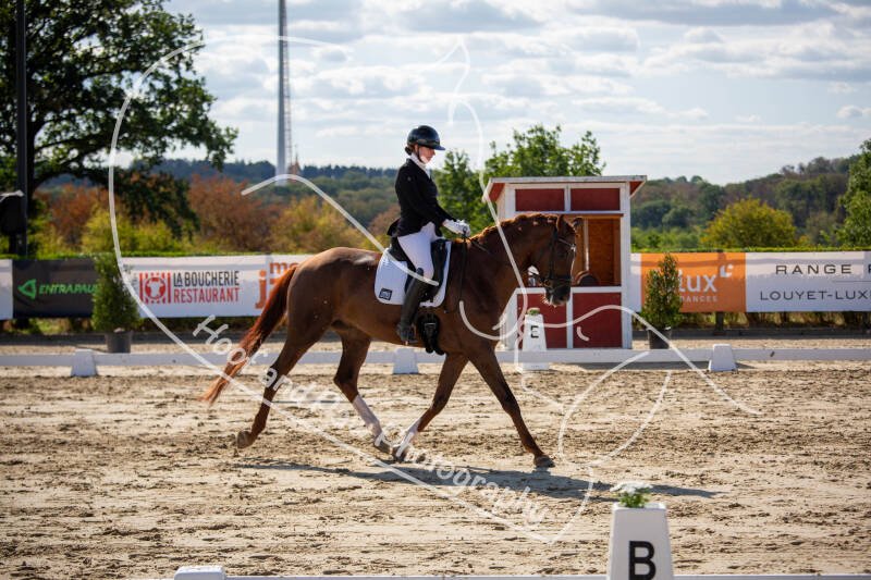 bouferterhaff-jumping-15-standard-f63136.jpg
