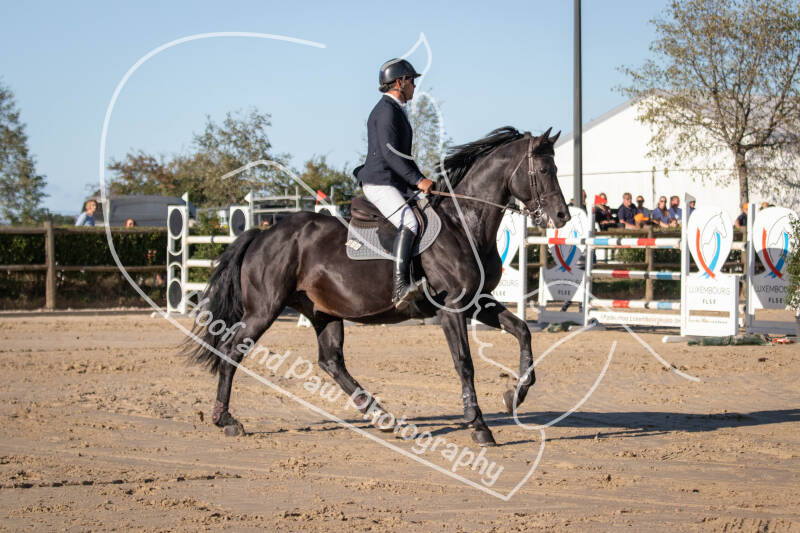 bouferterhaff-jumping-15-standard-q6l968.jpg