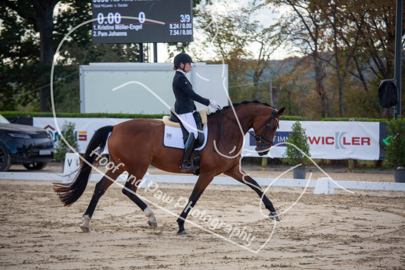 bouferterhaff-jumping-15-standard-tx6oph.jpg