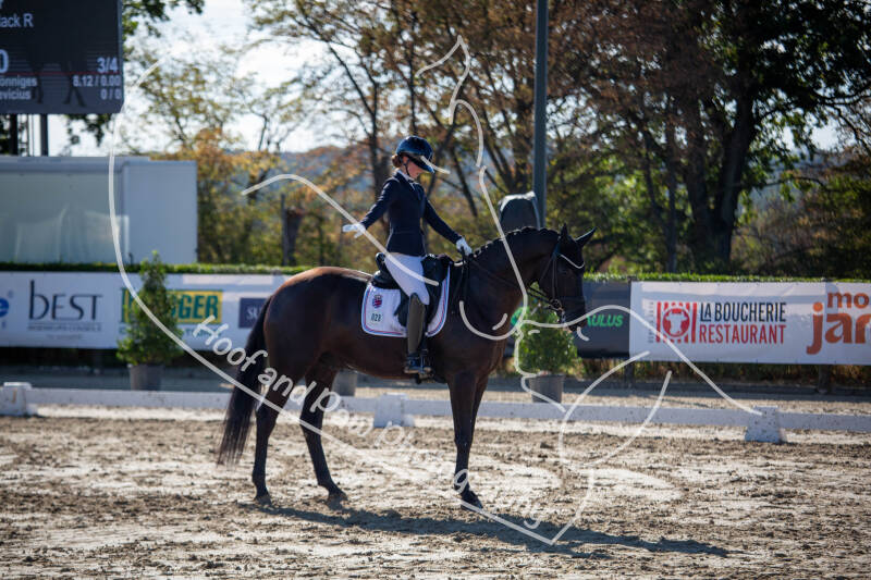 bouferterhaff-jumping-15-standard-z47x47.jpg