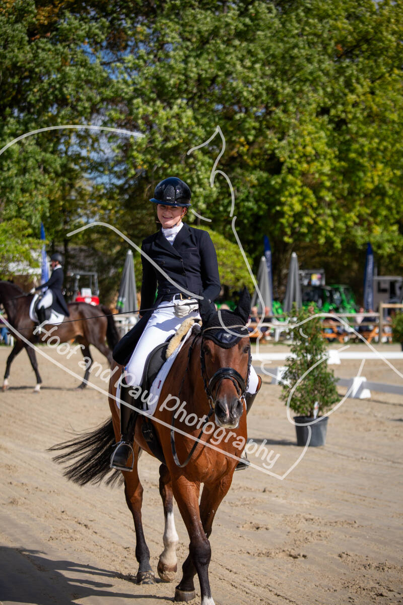 bouferterhaff-jumping-15-standard-zy42vs.jpg