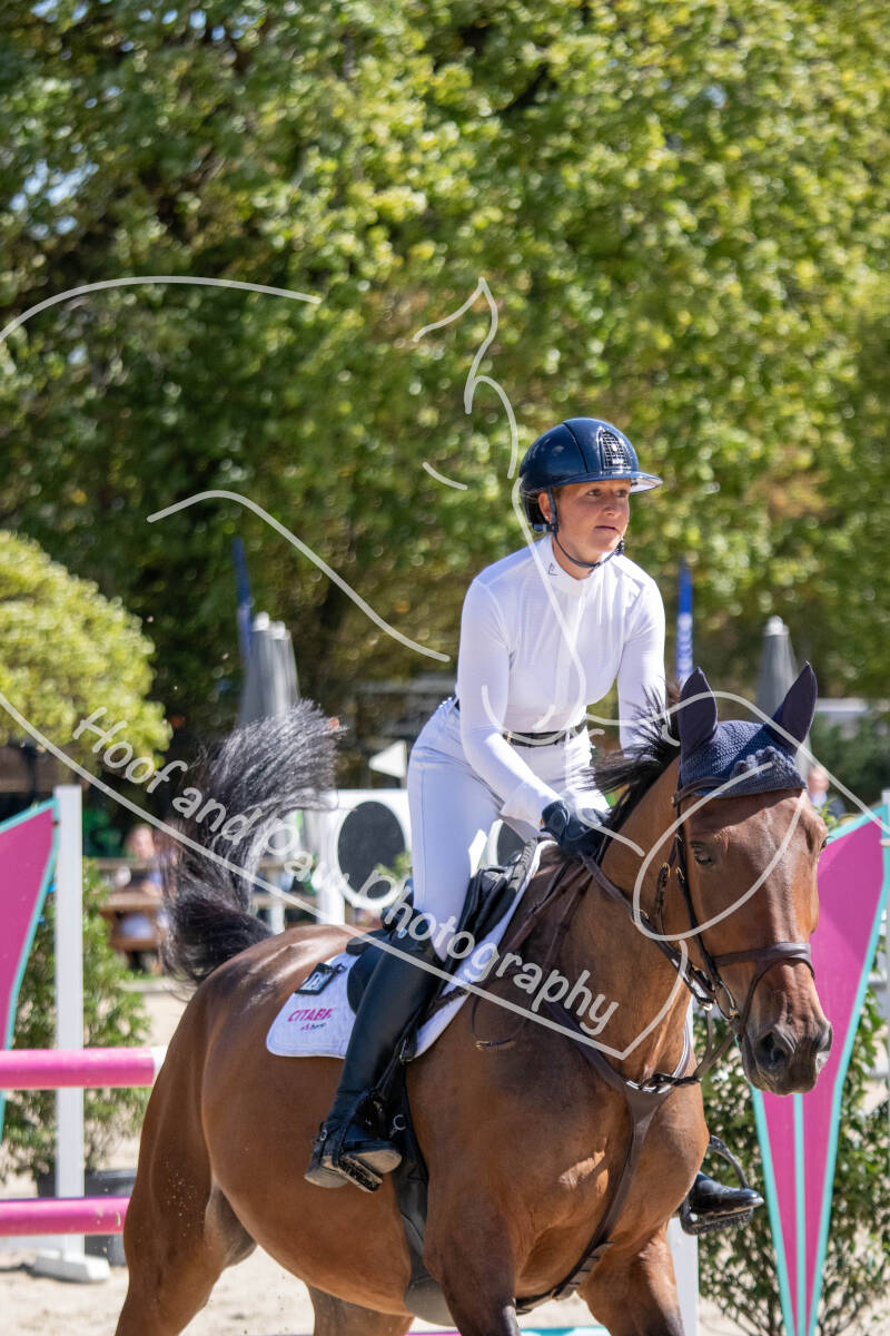 bouferterhaff-jumping-15-standard.jpg