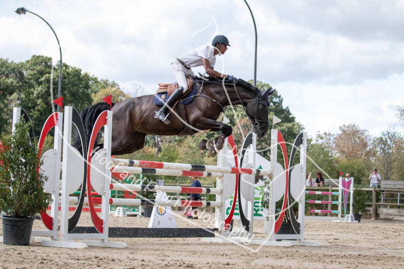 bouferterhaff-jumping-150-standard.jpg
